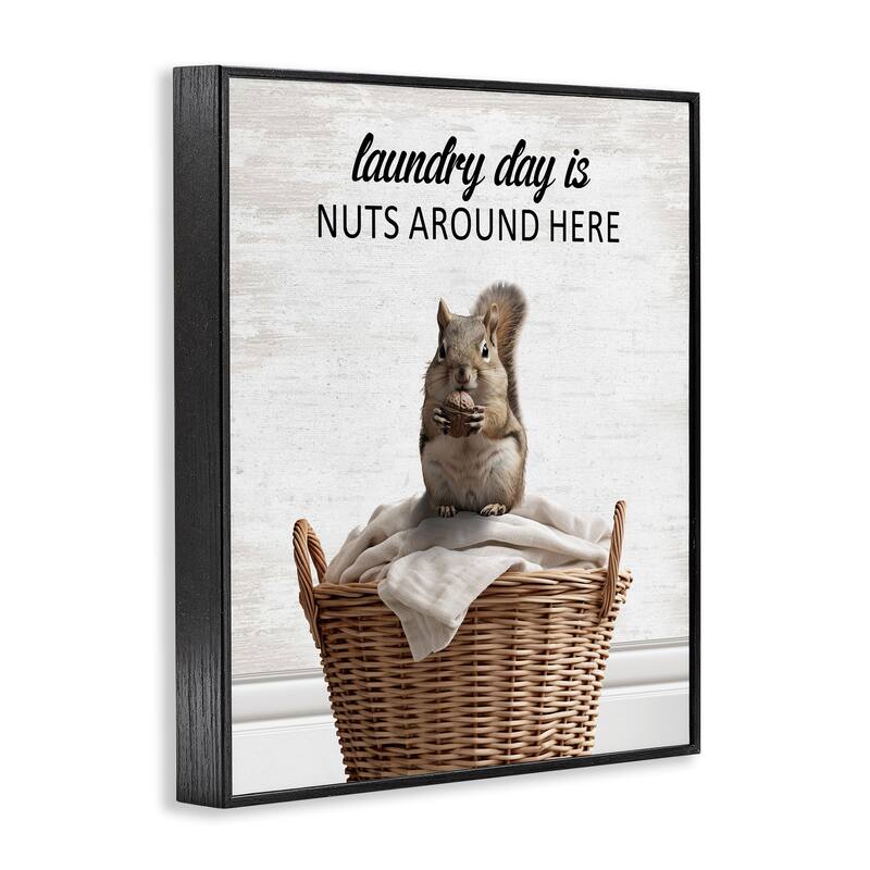 Stupell Funny Laundry Day Is Nuts Framed Giclee Art Design By Lettered and Lined