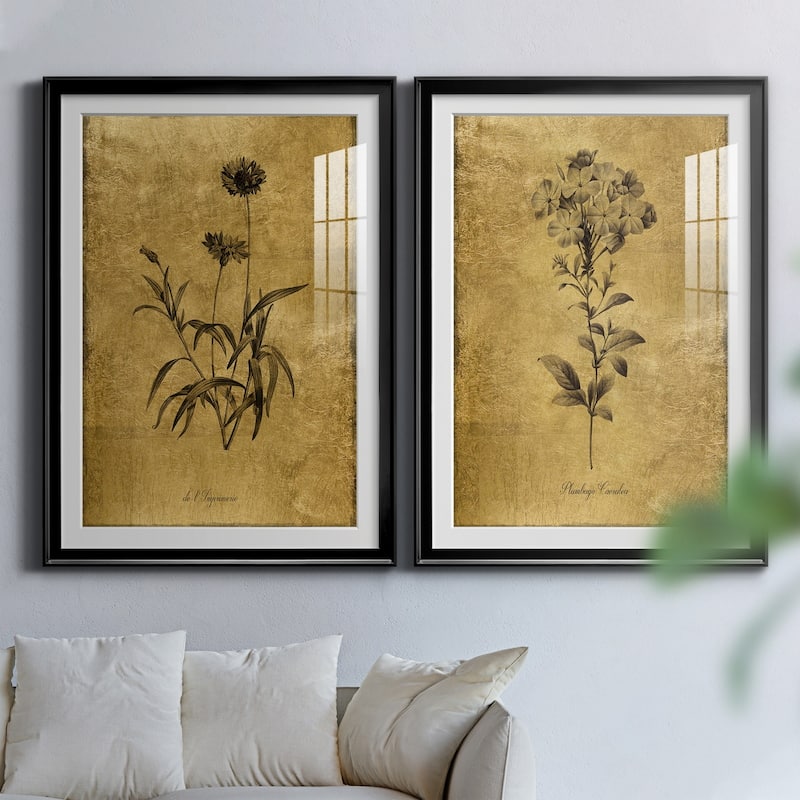 Gold Sketch Botanical I Premium Framed Print - Ready to Hang