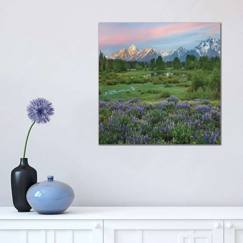 iCanvas "Lupine In Meadow, Grand Teton National Park, Wyoming" by Tim Fitzharris Canvas Print - 18x18x1.5