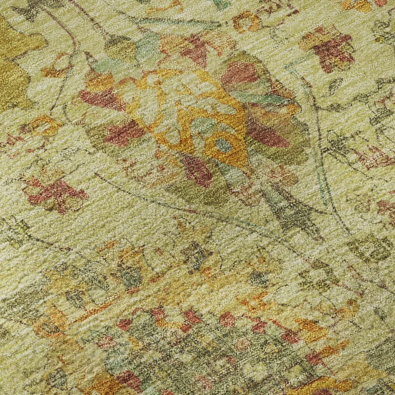 Premium Washable Super Soft Traditional Mayfield Rug