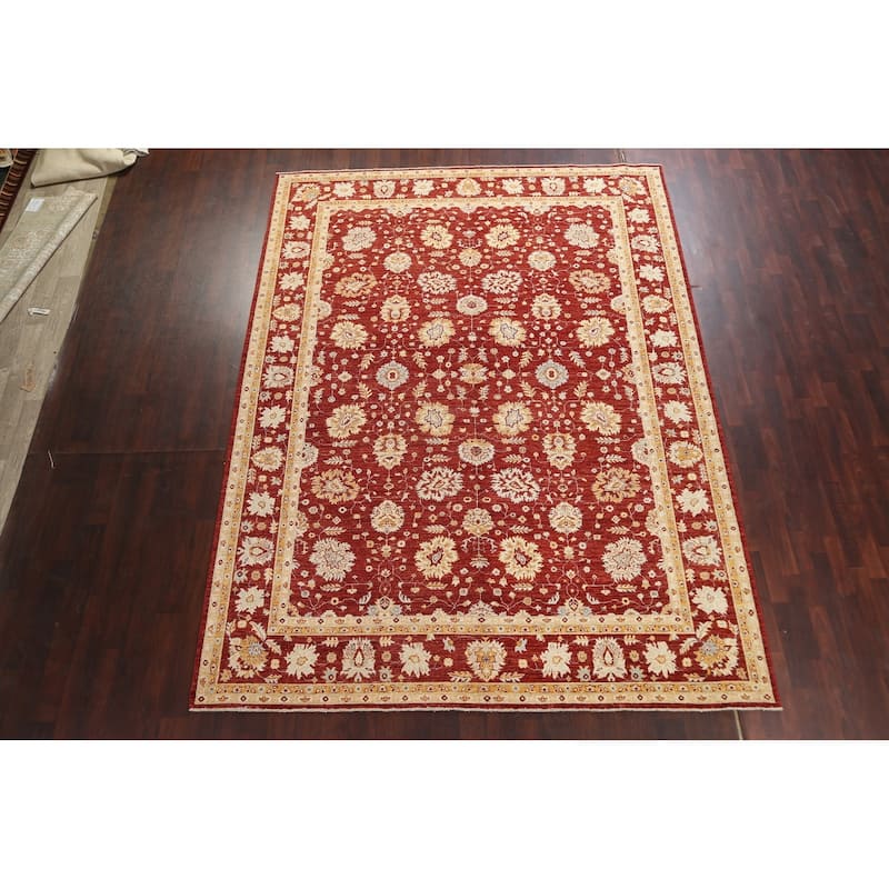 Vegetable Dye Floral Chobi Peshawar Area Rug Hand-knotted Wool Carpet - 9'1" x 12'0"