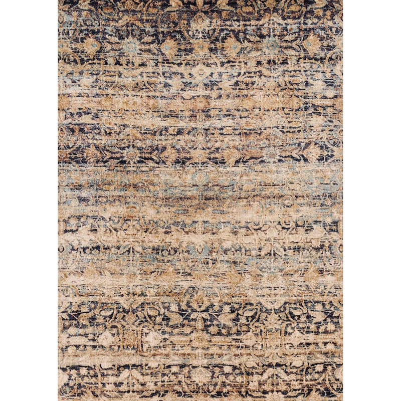 Alexander Home Contessa Traditional Distressed Area Rug