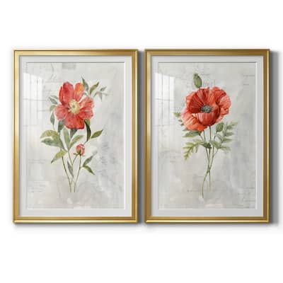 Linen Peony Premium Framed Print - Ready to Hang