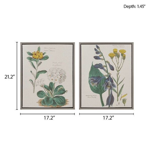 Martha Stewart Florescent Botanical Illustration 2-piece Framed
