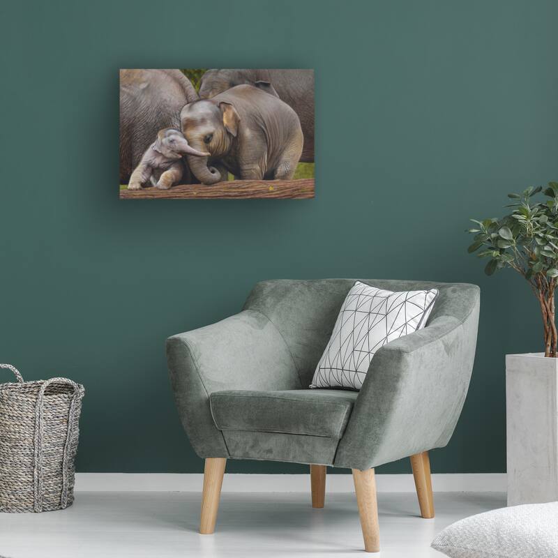 Steve Crockett 'Asian Elephant Family' Canvas Art Bed Bath & Beyond