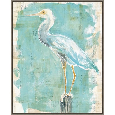 Coastal Egret II v2 by Sue Schlabach Framed Canvas Wall Art Print