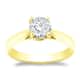 Option Yellow