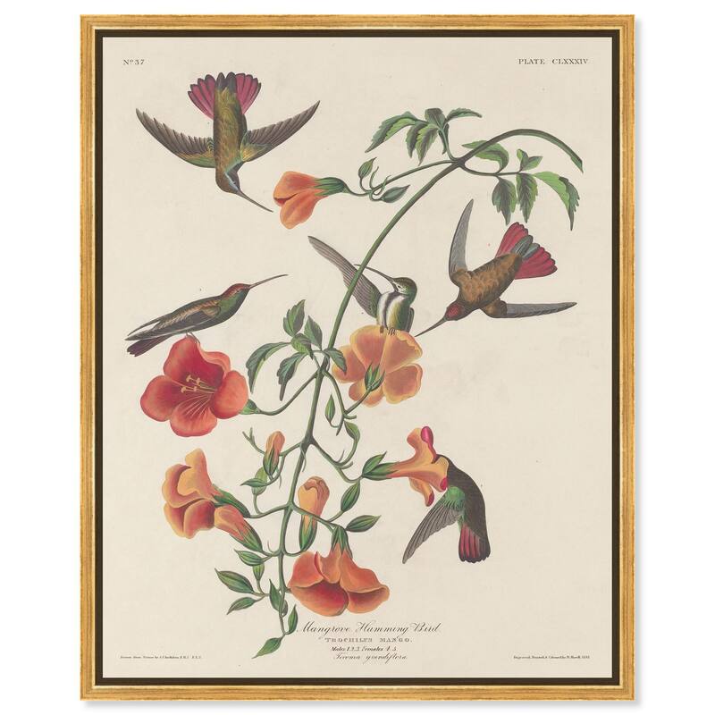 Humming Bird 1834 Canvas by Art Remedy - 20" x 24" - Gold