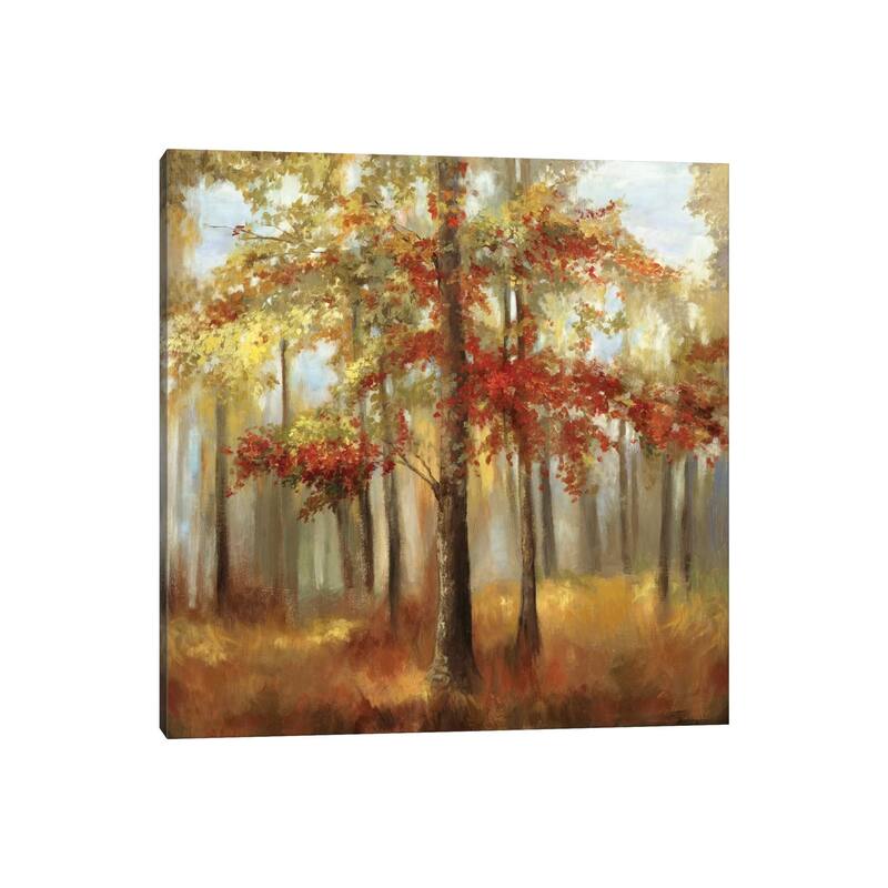 iCanvas "Soft Light I" by Allison Pearce Canvas Print