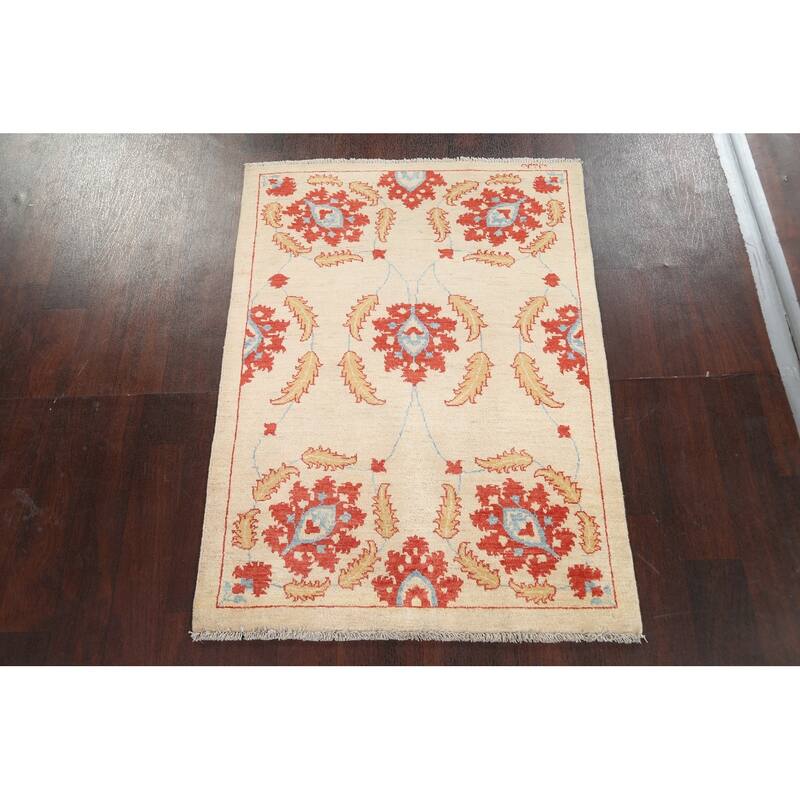 Vegetable Dye Floral Ziegler Area Rug Wool Hand-knotted Foyer Carpet - 3'2" x 4'4"