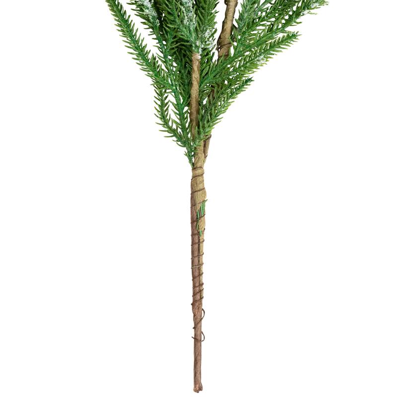 Frosted Norfolk Pine Artificial Christmas Garland - 5' - Unlit