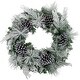preview thumbnail 1 of 3, Fraser Hill Farm 24-in. Christmas Snow Flocked Wreath, Pinecones