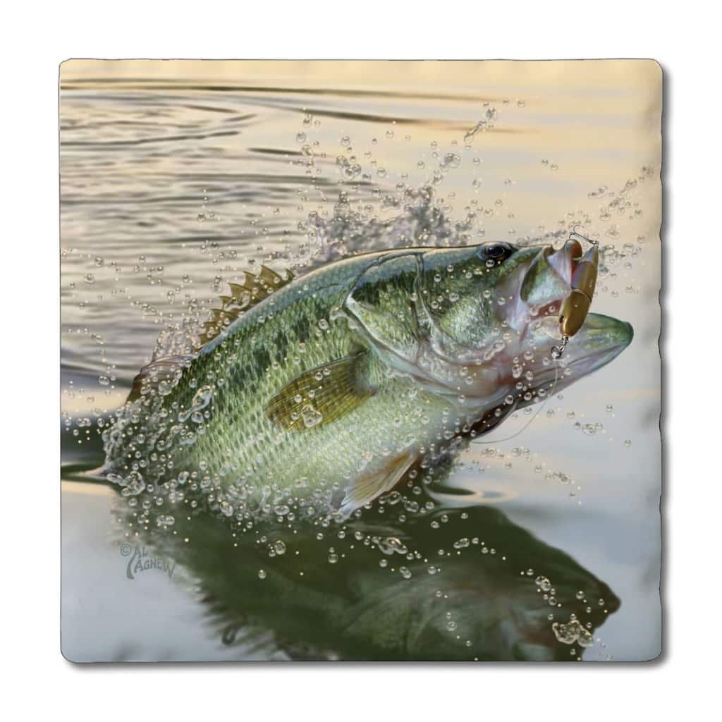 Bass Eruption 4-Pack Absorbent Stone Coasters with Protective Cork Backing 4" Square Made in The USA Easily Wipes Clean