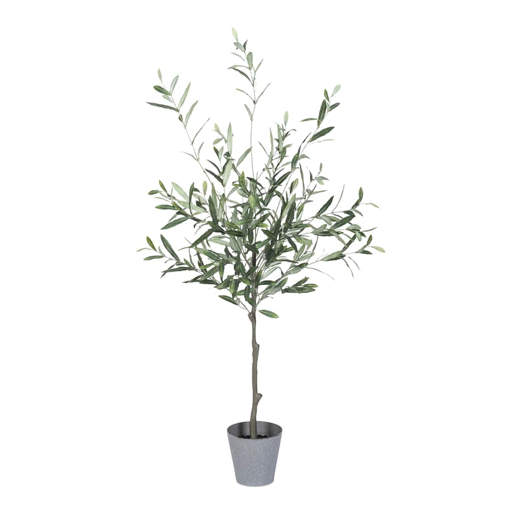 4 Ft High Olive Tree with Plastic Pot