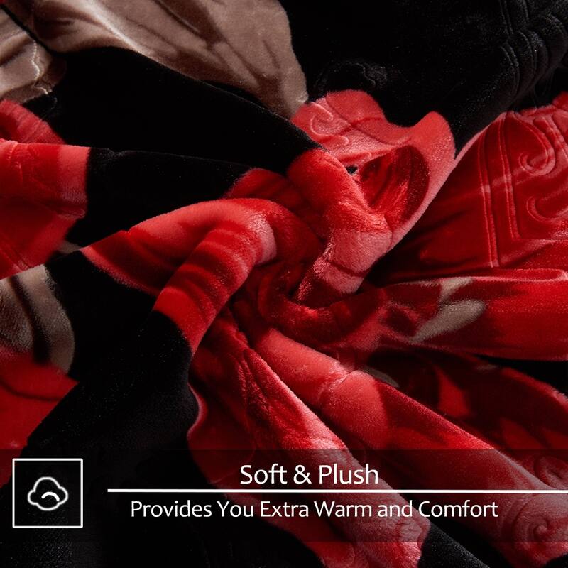 Raschel A&B Printed 2-ply Reversible Korean-style Plush Fleece Blanket