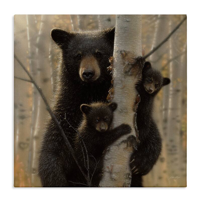 Stupell Black Bear and Cubs Soft Birch Tree Forest Canvas Wall Art - Brown - 17 x 17