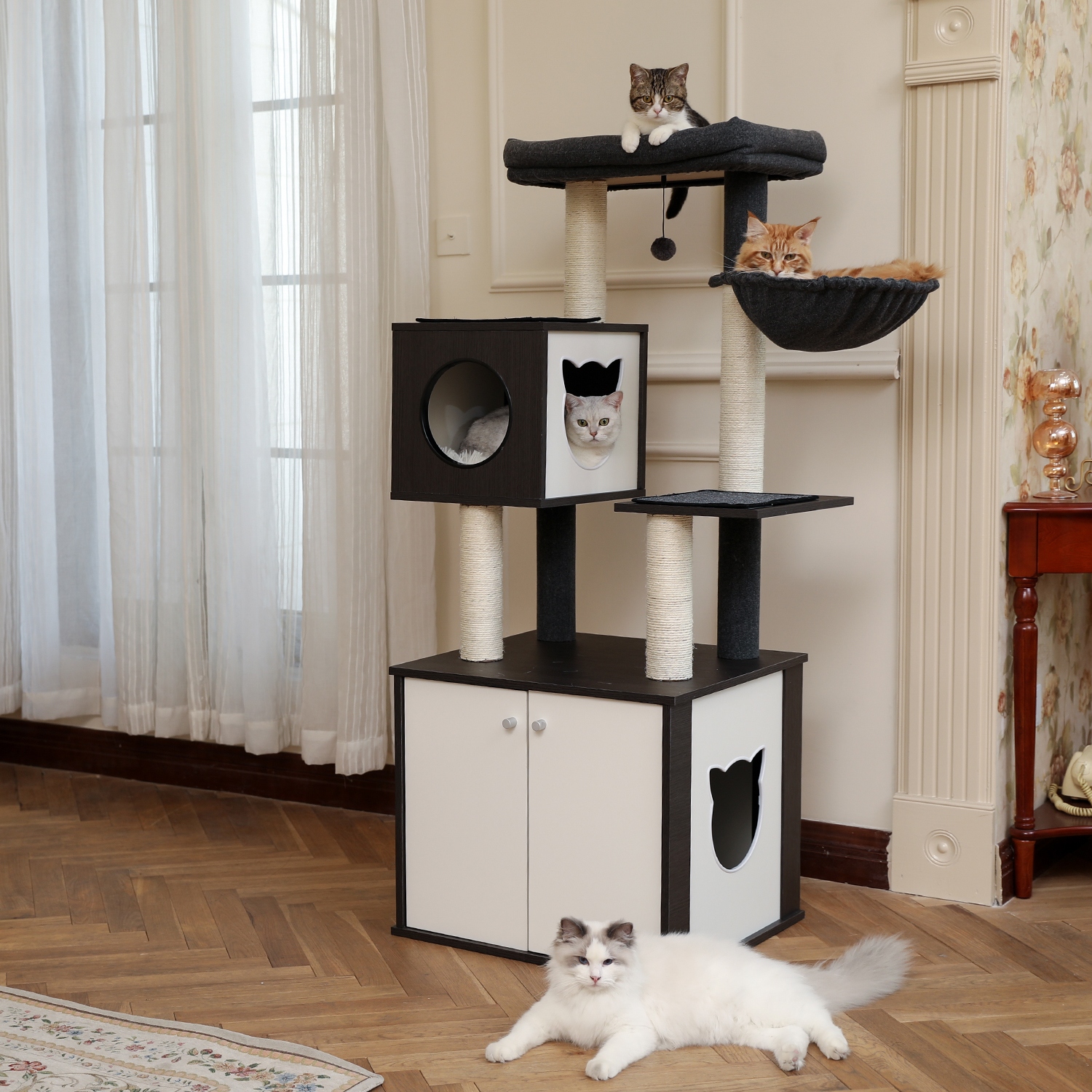 Black cat tower shop