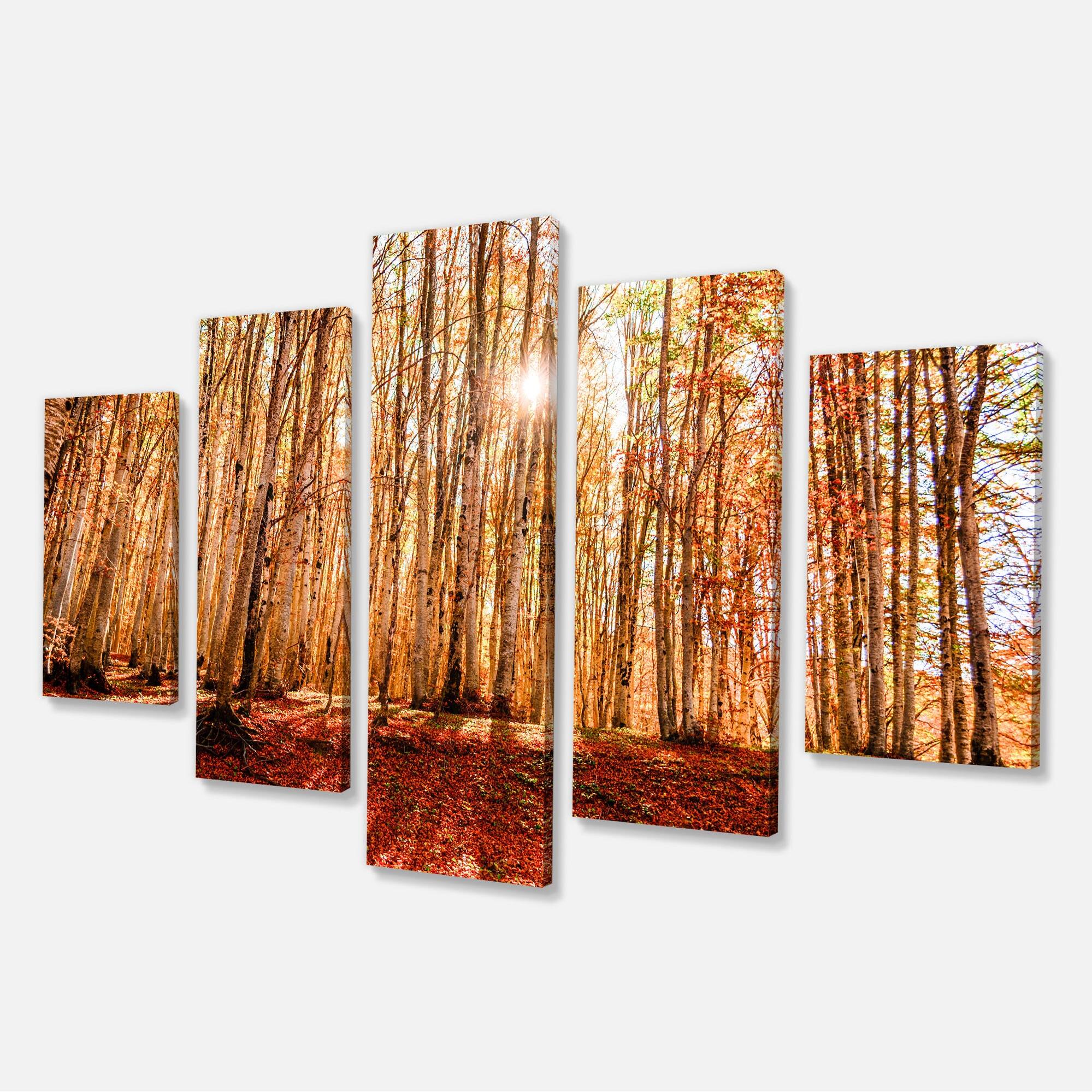 Designart "Bright Sun over Thick Fall Forest" Modern Forest Canvas Art Bed Bath & Beyond