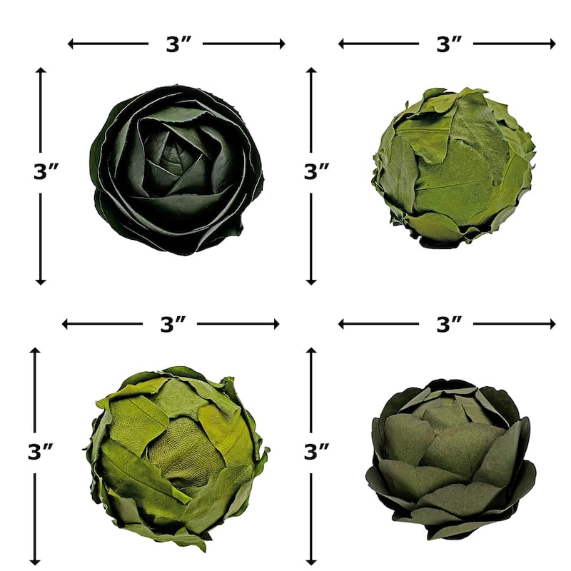 Preserved Decorative Real Leaves Topiary Ball - Magnolia ,Eucalyptus,Macadamia - Green - Set of 4