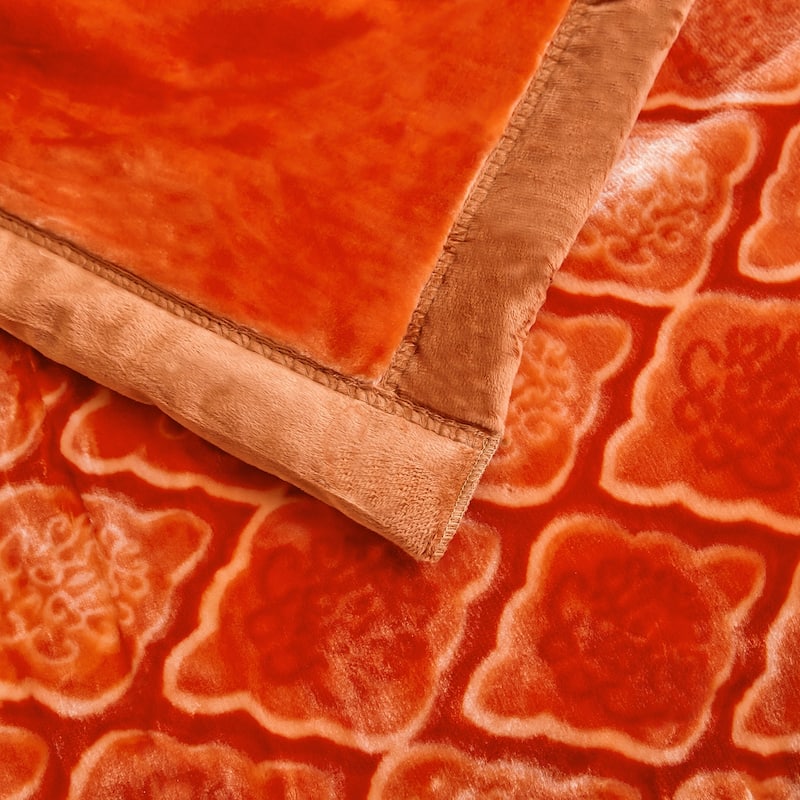 Reversible 10.5 Pounds Plush Fleece Blankets, 2 PLY A&B Design 87" x 95" Bed Blankets for Winter
