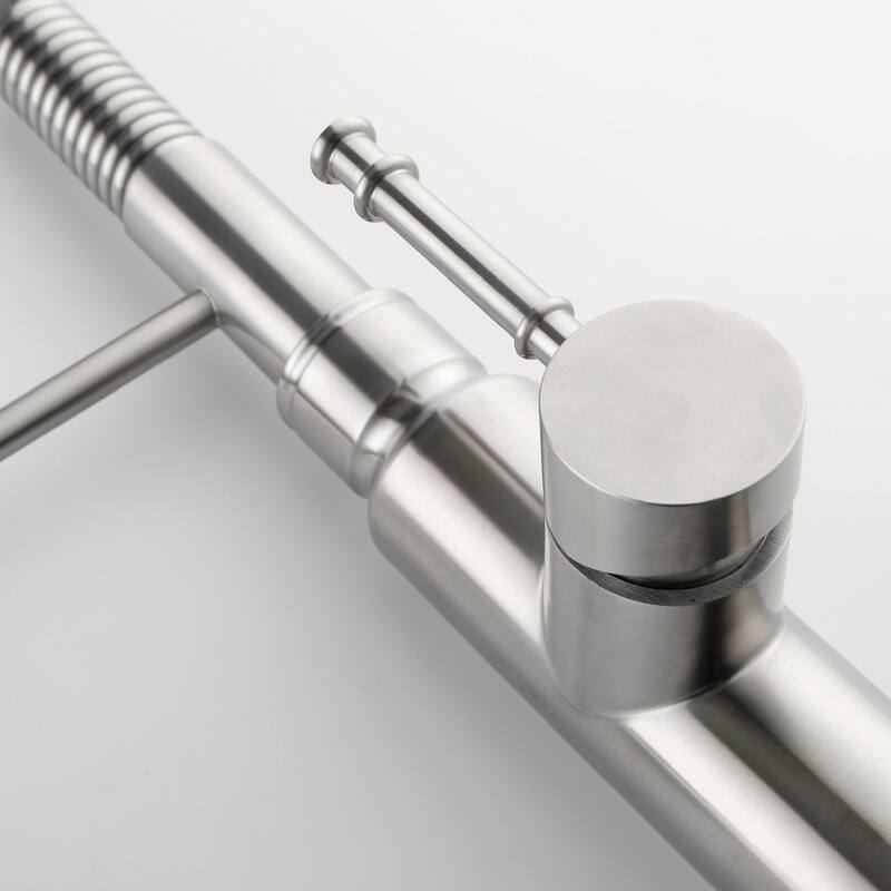 Spring Kitchen Faucet, Single Level Handle and Pull Down Sprayer