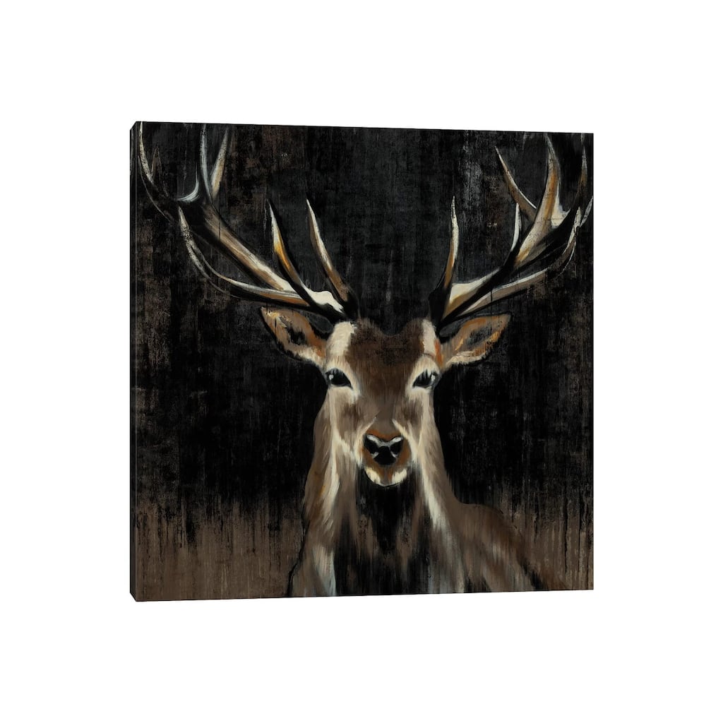 iCanvas "Young Buck" by Liz Jardine Canvas Print