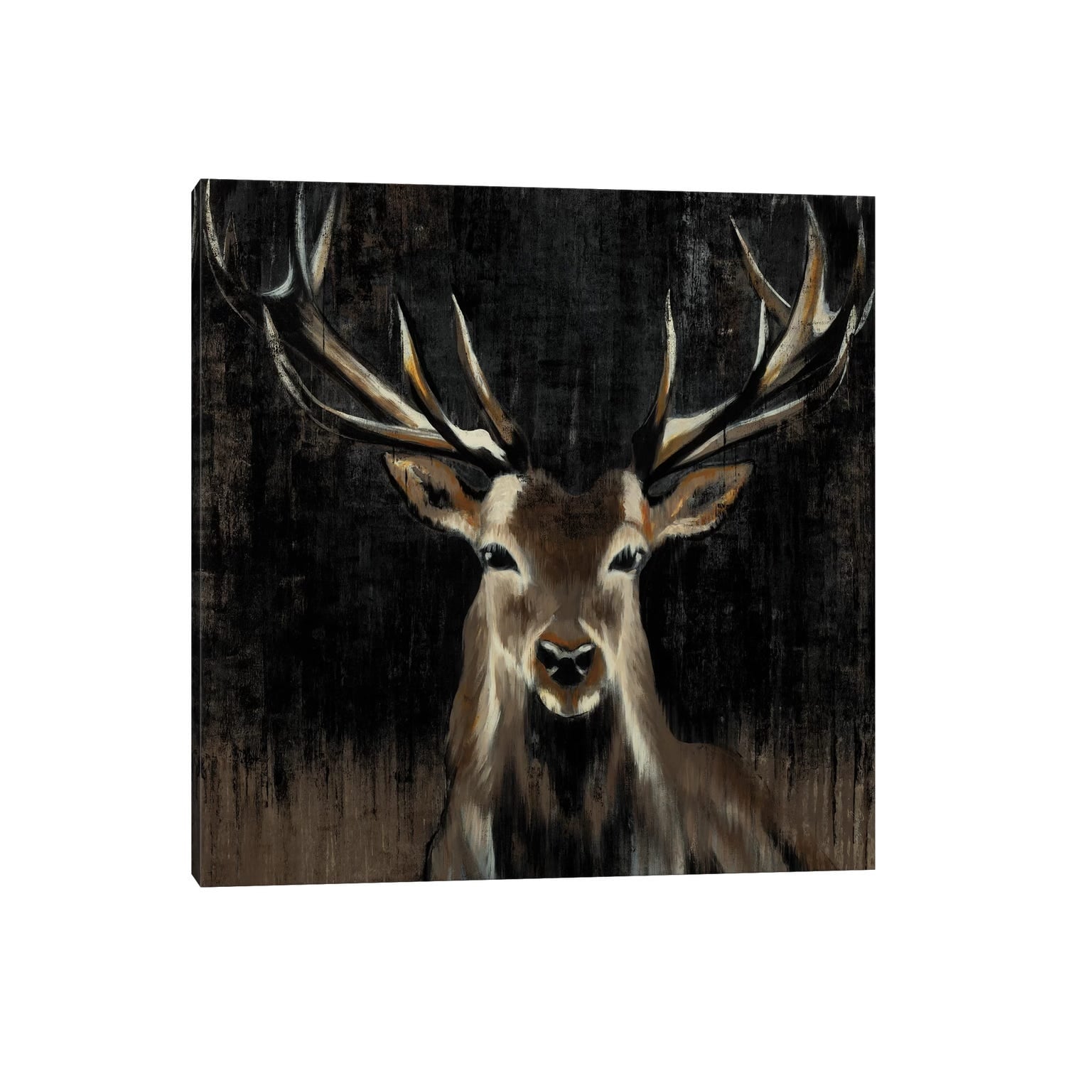 iCanvas "Young Buck" by Liz Jardine Canvas Print