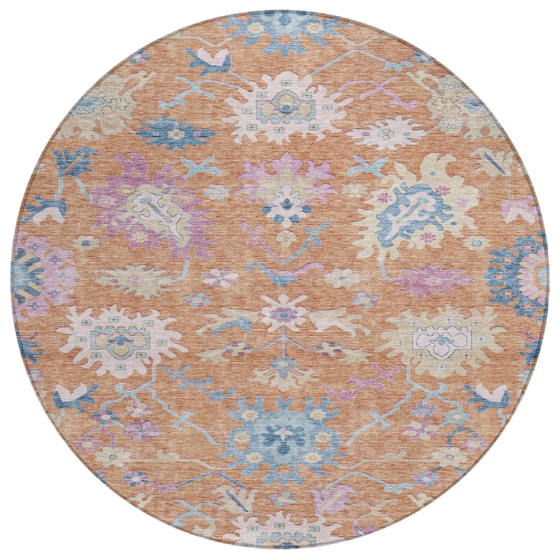 Machine Washable Indoor/ Outdoor Causal Traditional Chantille Rug