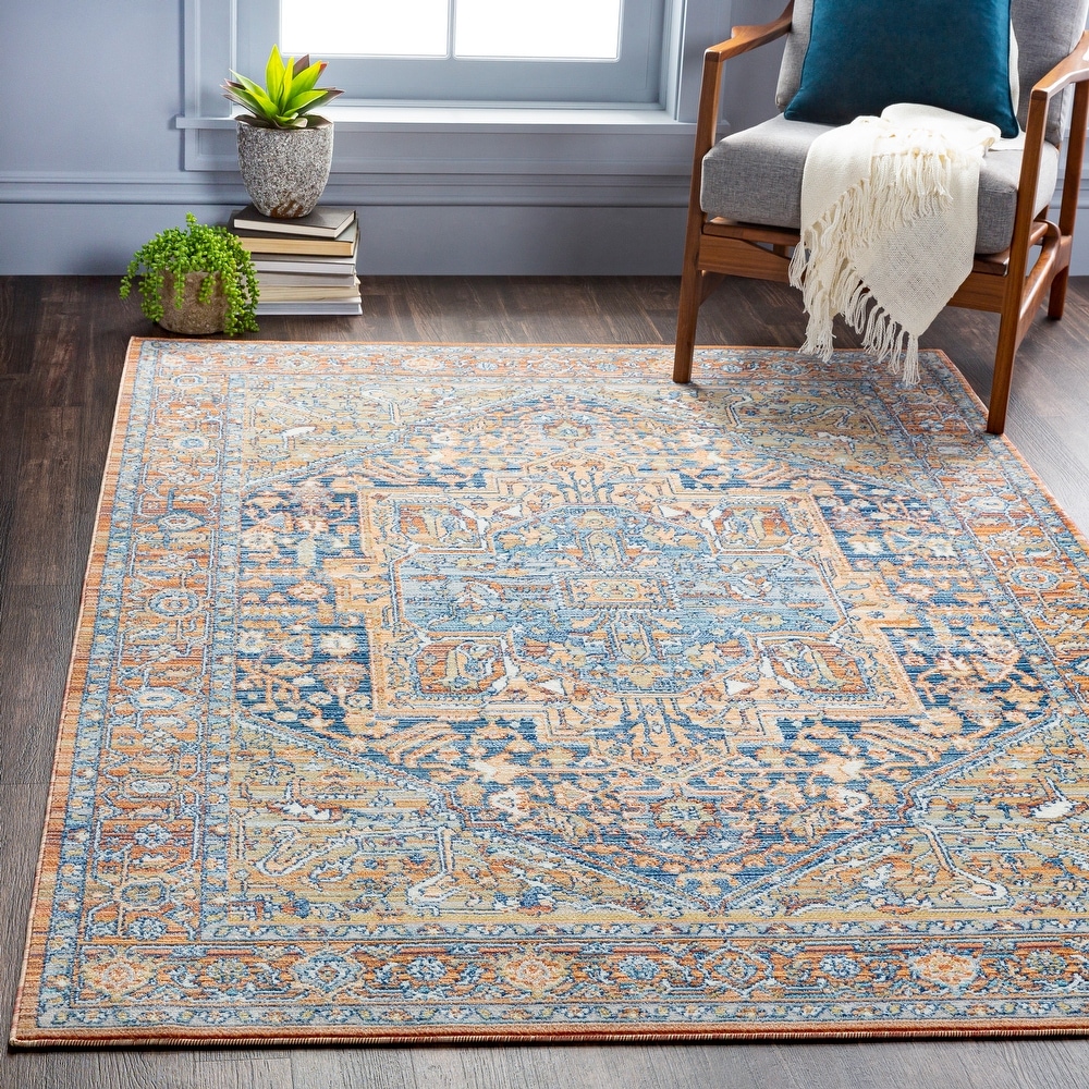 non-Shed Doux Discounted Luxe Traditionnel grand tapis Non-slip Area Rugs 