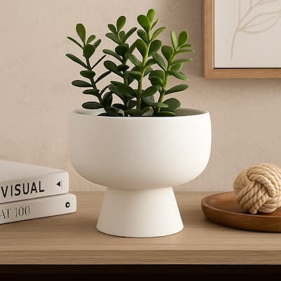 Accent Bowl Planter, Round Pedestal Base, Modern White Ceramic 12 Inch