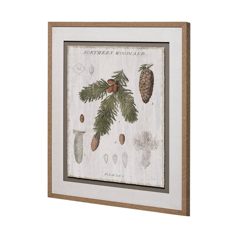Woodland Chart V Framed Art Print