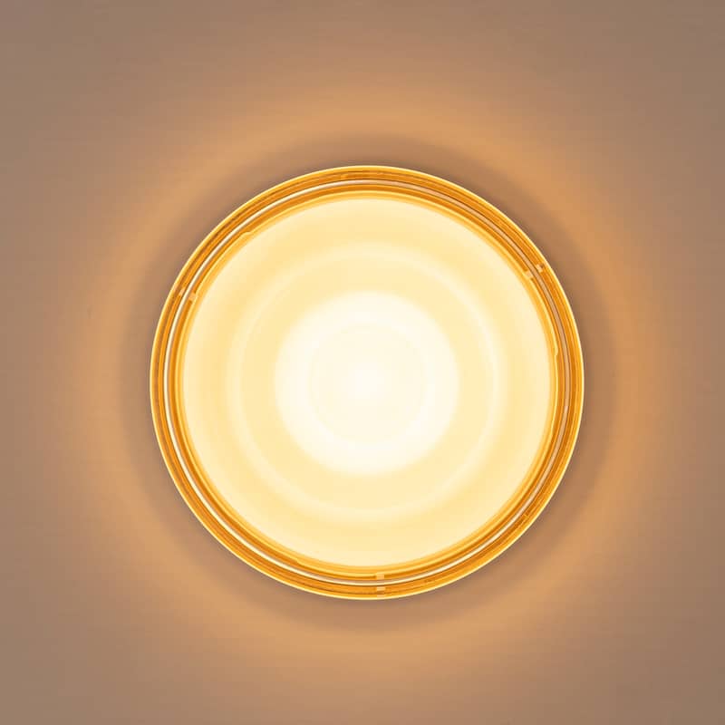 Modern Gold 1-Light Integrated LED Flush Mount Ceiling Light