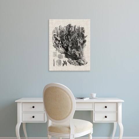 Easy Art Prints Vision Studio's 'Coral Specimen V' Premium Canvas Art