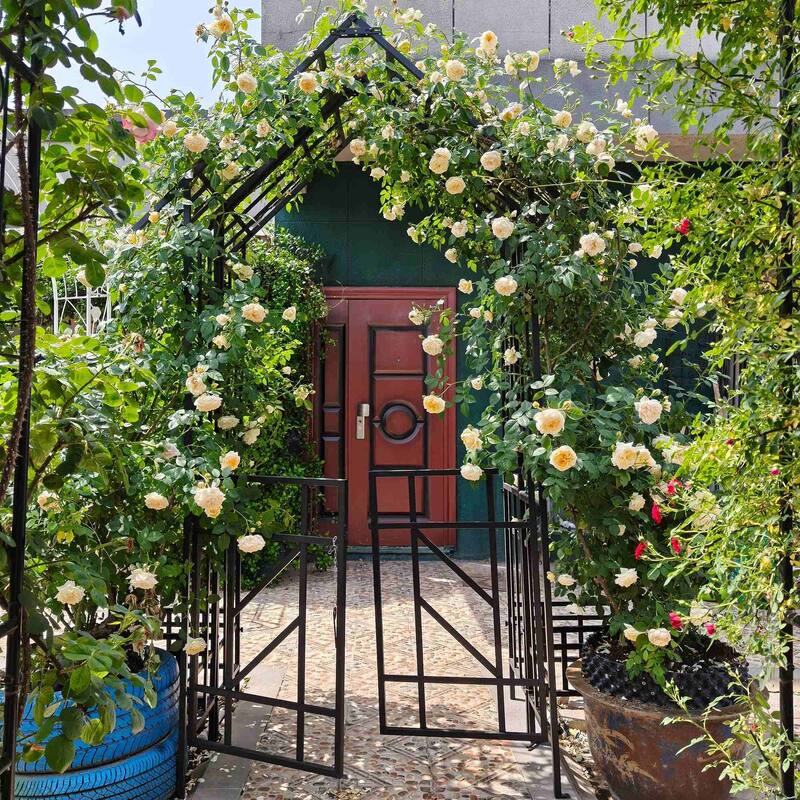 Adjustable Metal Arch Trellis for Climbing Garden Plants