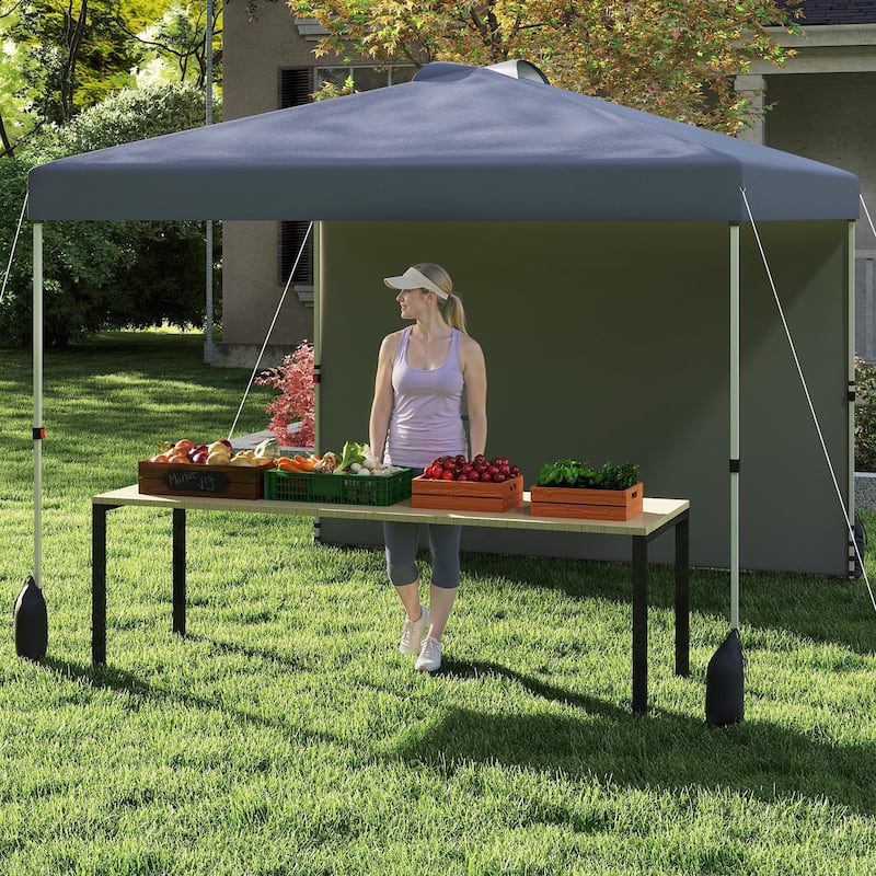 Gymax 10 X 10 FT Pop up Canopy Tent w/ 1 Sidewall Wheeled Bag 8 Stakes