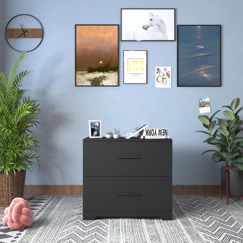 2-Drawer Lateral Filing Cabinet, Storage Filing Cabinet for Home Office
