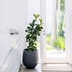 preview thumbnail 2 of 28, DreamPatio La Mirada 1-piece Fiberstone Tapered Planter for Indoor/Outdoor