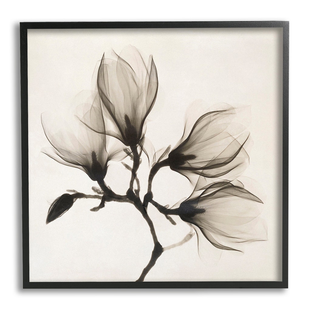 Stupell Sepia Tone Tree Blossom Florals Translucent Flowers Framed Wall Art - Black