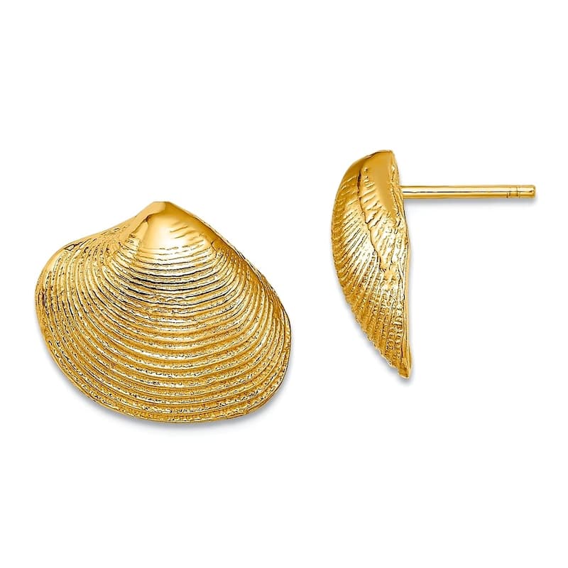 Curata 14k Yellow or White Gold Clam Shell Post Earrings - 12.65x15mm - Yellow Gold