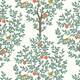 Option Juniper