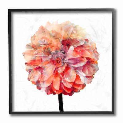 Stupell Bright Coral Watercolor Bloom Dahlia Flower Framed Art, 12 x 12, Design By Artist Kimberly Allen - Multi-Color