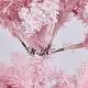 preview thumbnail 11 of 16, Yaheetech Pre-lit Flocked Artificial Christmas Tree Snow Frosted Christmas Tree, Pink