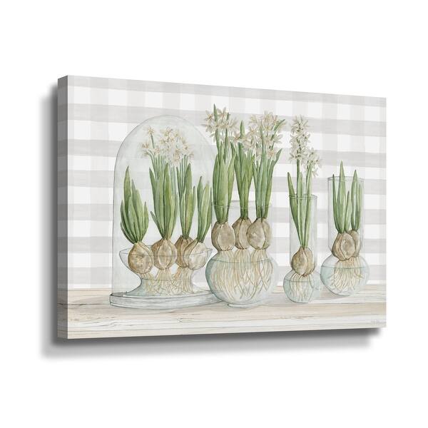 Paperwhite Bulbs Gallery Wrapped Canvas - Bed Bath & Beyond - 35802324