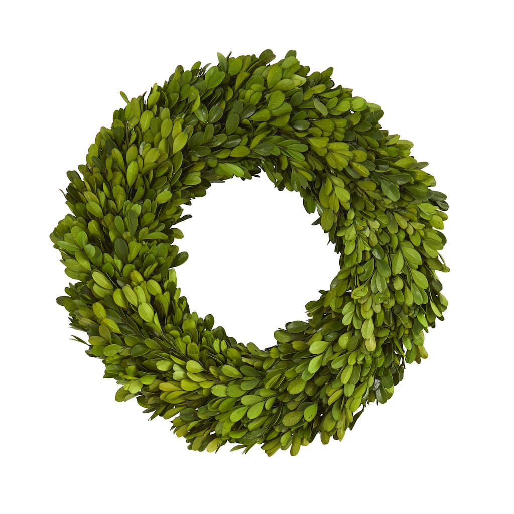 Preserved Boxwood Artificial Wreath, 14-Inch, Unlit