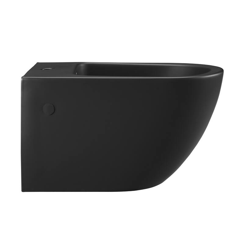 St. Tropez Wall Hung Bidet