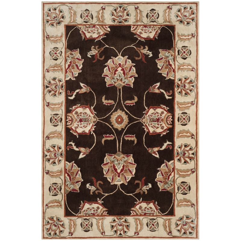 SAFAVIEH Handmade Total Performance Axania Oriental Rug - 6' x 9' - Brown/Ivory