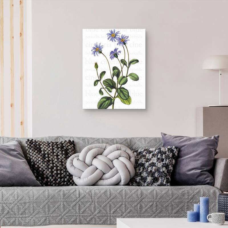 Blue Cineraria Text by Design Lab Canvas Art Print
