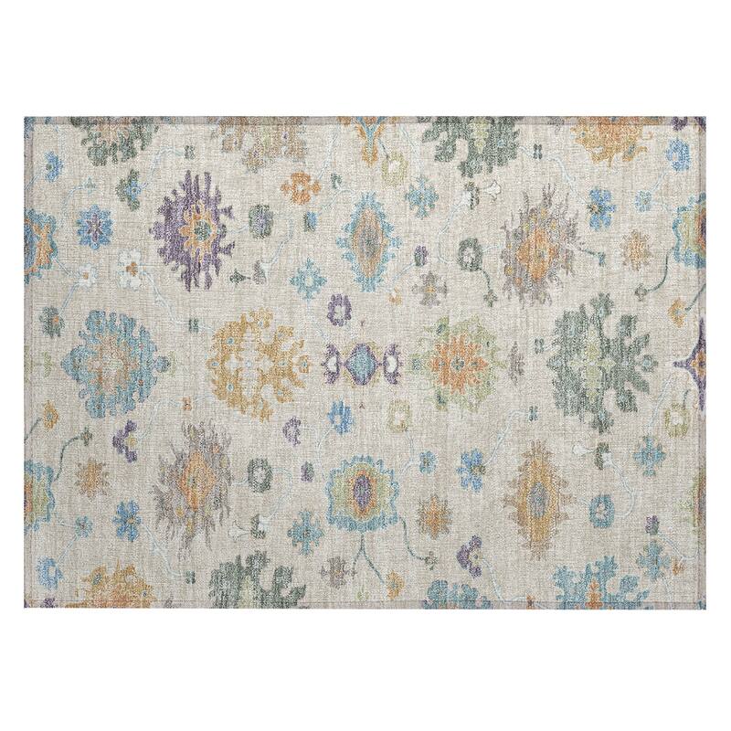 Machine Washable Indoor/ Outdoor Traditonal Delhi Chantille Rug