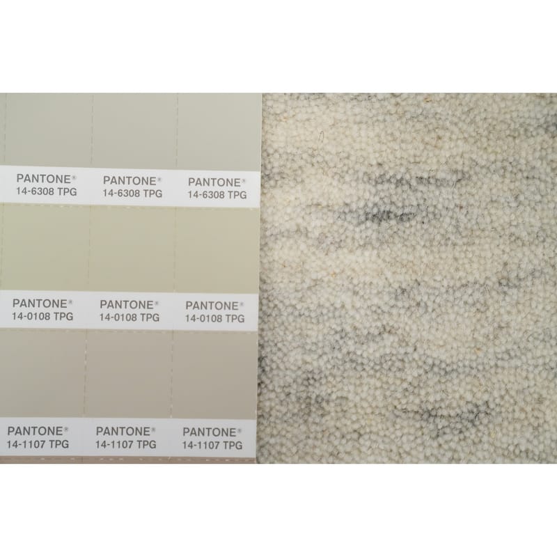 Hand Knotted Oriental 100% Wool Carpet Tribal Animal Pictorial Beige & Ivories Gabbeh Area Rug - 7' 9'' X 5' 0''