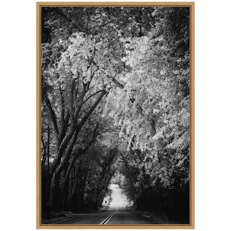 Kate and Laurel Sylvie Pleasant Valley Road Serene Path Framed Canvas by Emiko and Mark Franzen of F2Images